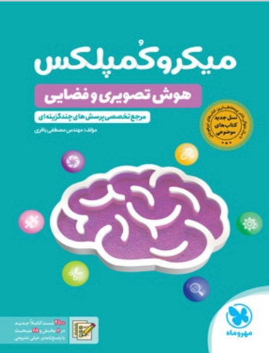 میکرو کمپلکس هوش تصویری و فضایی مهروماه